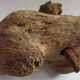 Imagen para el artículo titulado Un antiguo esqueleto encontrado en Inglaterra, segunda evidencia física de la crucifixión romana